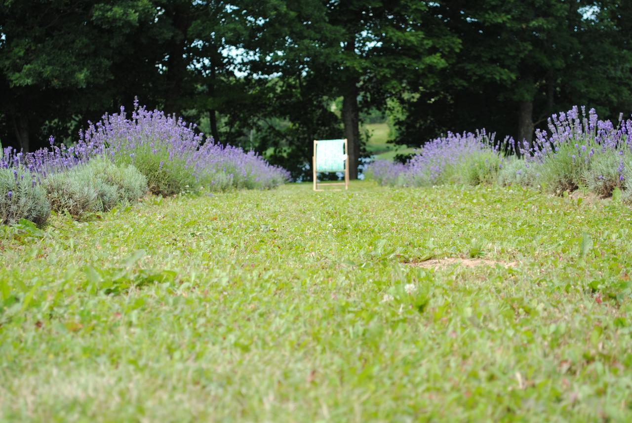Lavender Village Kiemeliai Exterior photo