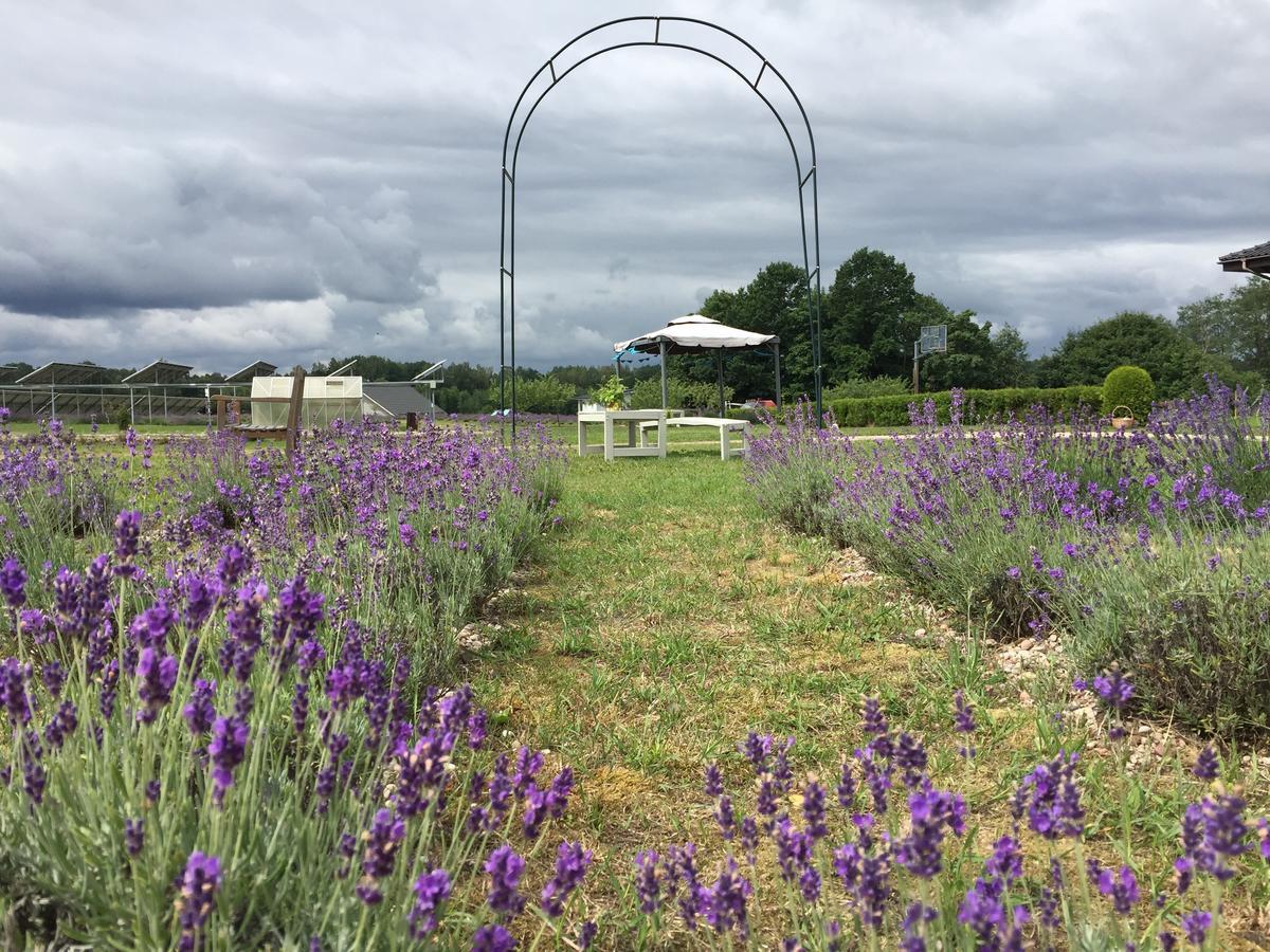 Lavender Village Kiemeliai Exterior photo